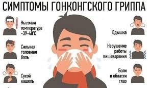 🦠Гонконгский грипп накроет россиян в новогодние кани...