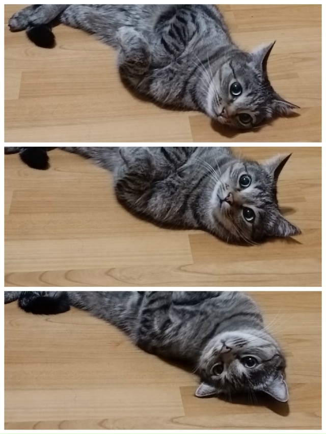 3 стадии голодного обморока)