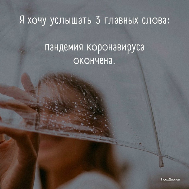 всего 3 слова