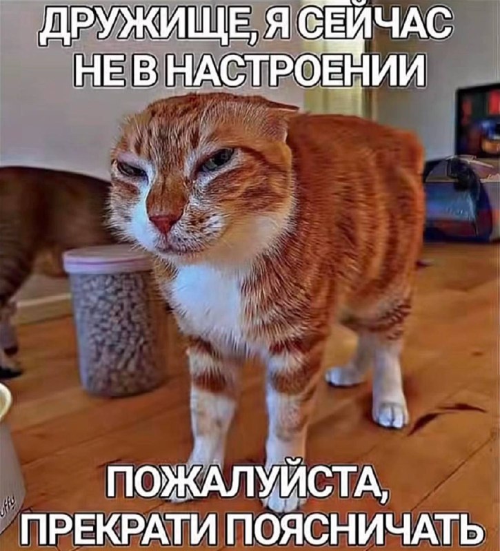 когда бро прикалывается с тобой, но у тебя нет настроения: