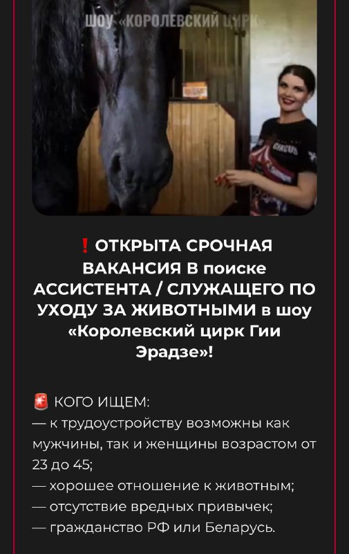 В Московском цирке открыта вакансия специалиста по уходу за животными с зарплатой от 80 000₽.
Нужно