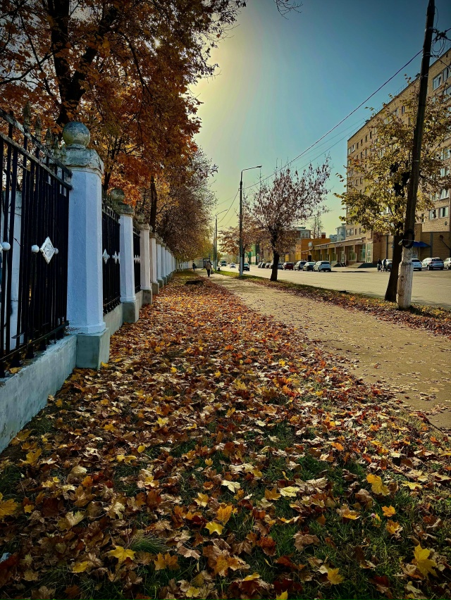 Золотая осень в городе