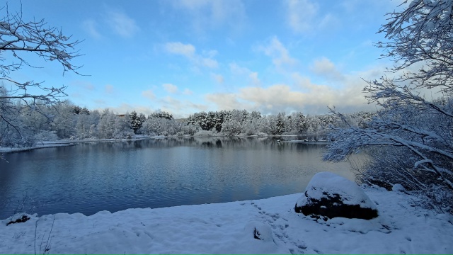 Немного зимней красоты))