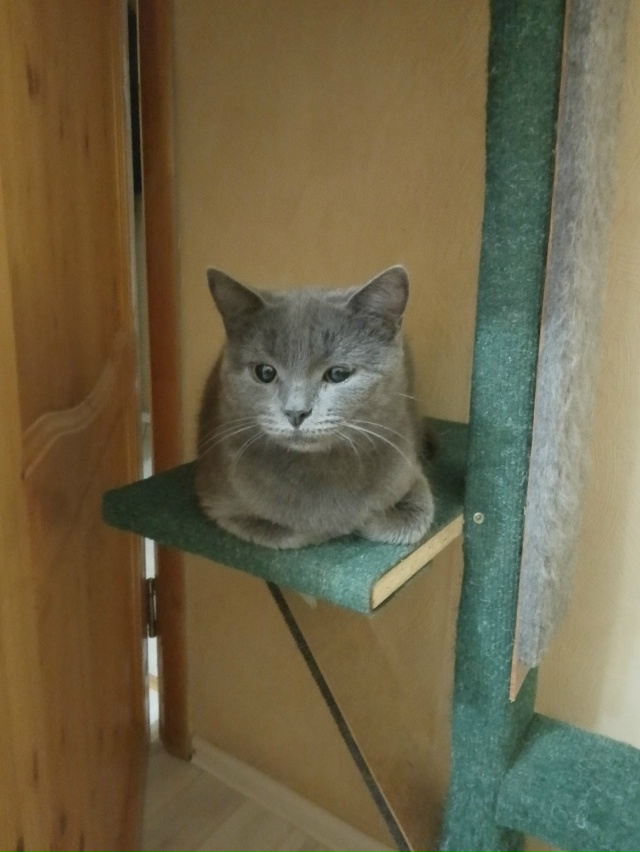 Админ выложи пожалуйста.Примерно чуть больше месяца н?...