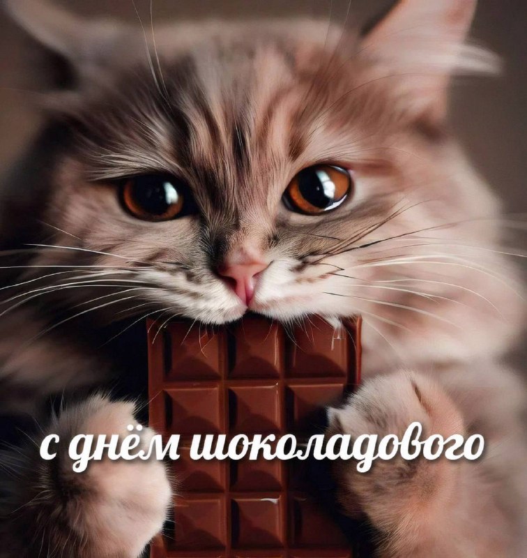 Сегодня отмечается Международный день шоколада
В этот день можно без зазрения совести побаловать се