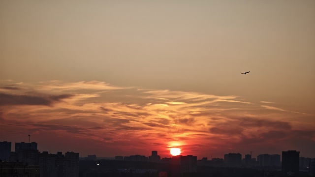 Вечер в городе🧡