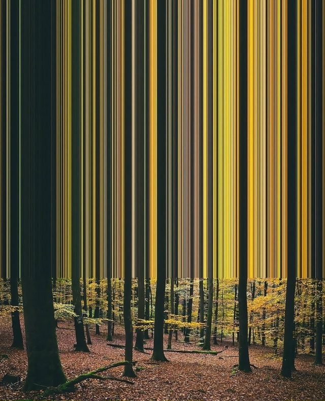 4 сезона через объектив staines