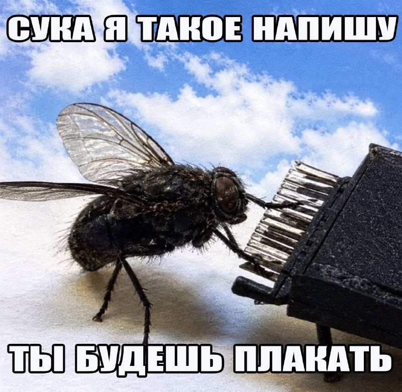 это разъярённая я пишу в поддержку какого-то сервиса, как только что-то пошло не так, чтобы в итоге