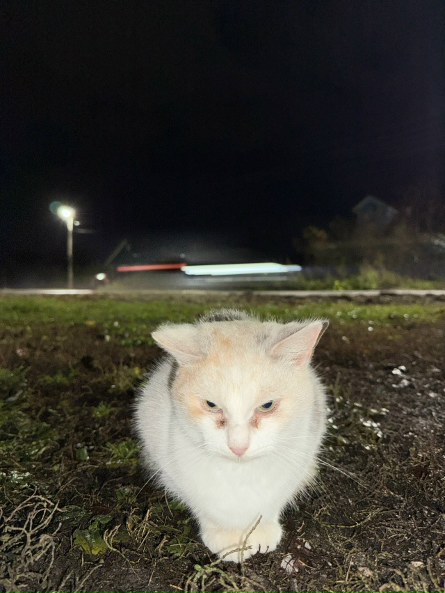 Может кто-то узнает своего друга
Сидит у интерната в г...