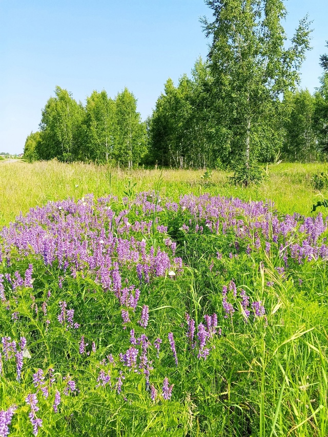 Доброй ночи, Никольск❤