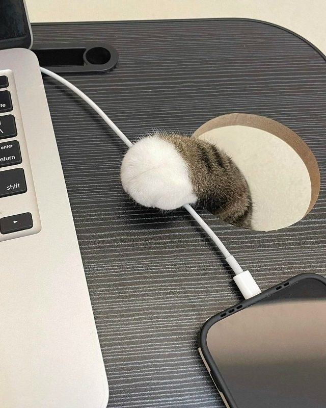 Если вы думали, что это отверстие в столе для проводов, ...