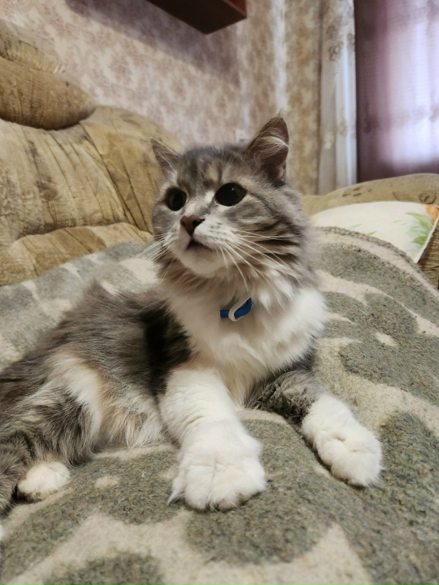 Тиша: К холодам готовы 🥰🥰🥰
