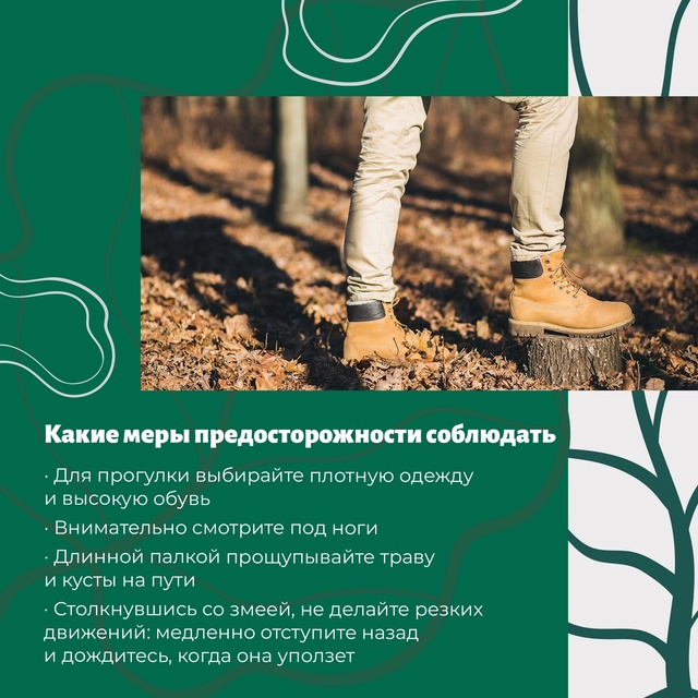 Ос-с-с-торожно на прогулке!
В теплые летние дни в Югре ...