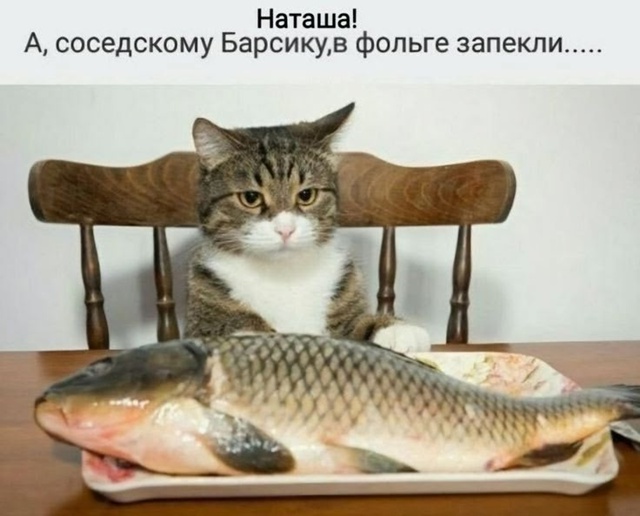 НЕМНОГО ЮМОРА... 🤓