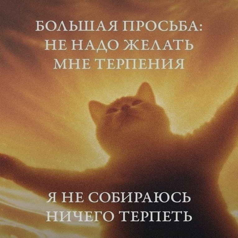 Ночная подборочка
Выходные, не спим