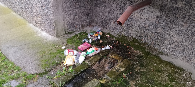 Меркурьева 24, первый подъезд. Обратно в квартиру мусор ...