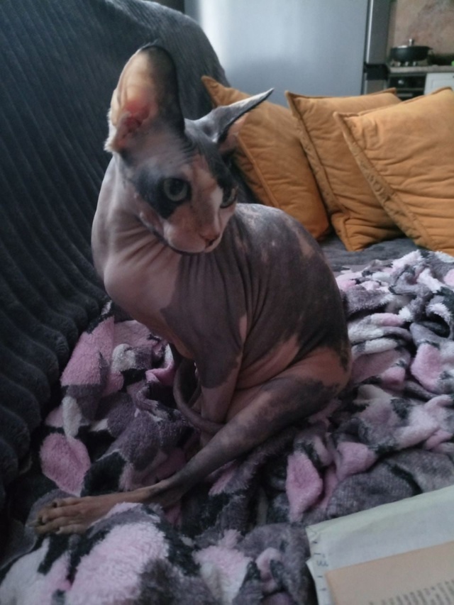 Наш первый пост)
Зайка, 6 лет, появилась почти год назад,...