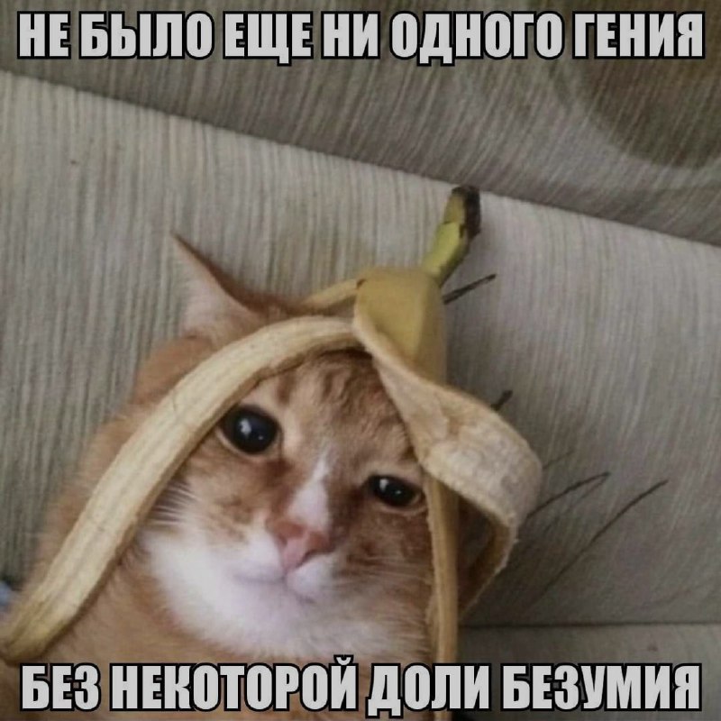 Ночная подборочка
Спать, режим