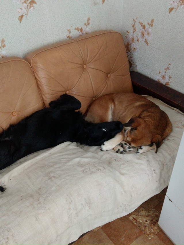 Здравствуйте уважаемые жители города Остров! Продолжа...