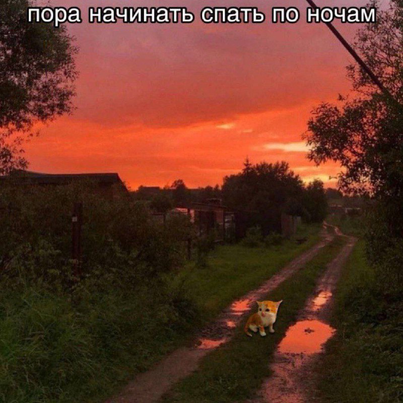 Утренняя подборочка