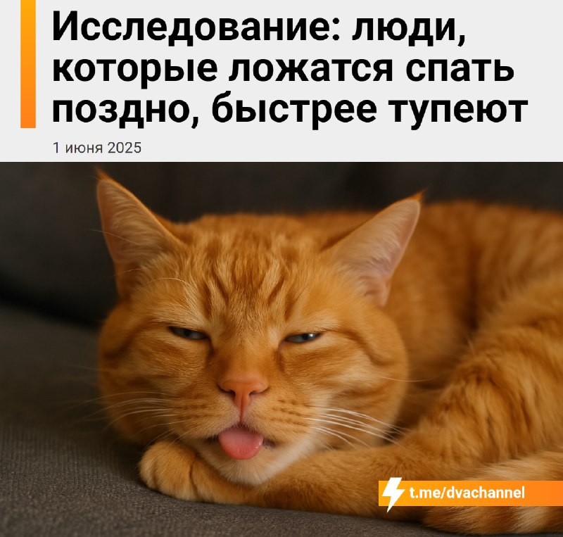 Люди, которые поздно ложатся спать, быстрее тупеют, выяснили учёные
В течение 10 лет исследователи