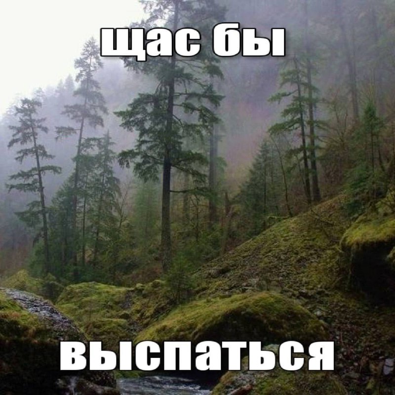 Утренняя подборочка