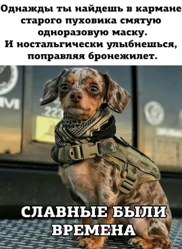 Выходит, 2019 год был ещё не так плох. А вспомните то золо?...