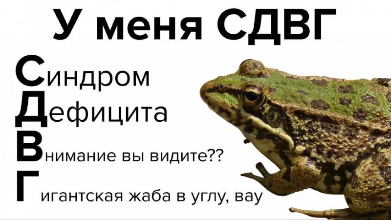 Утренняя подборочка