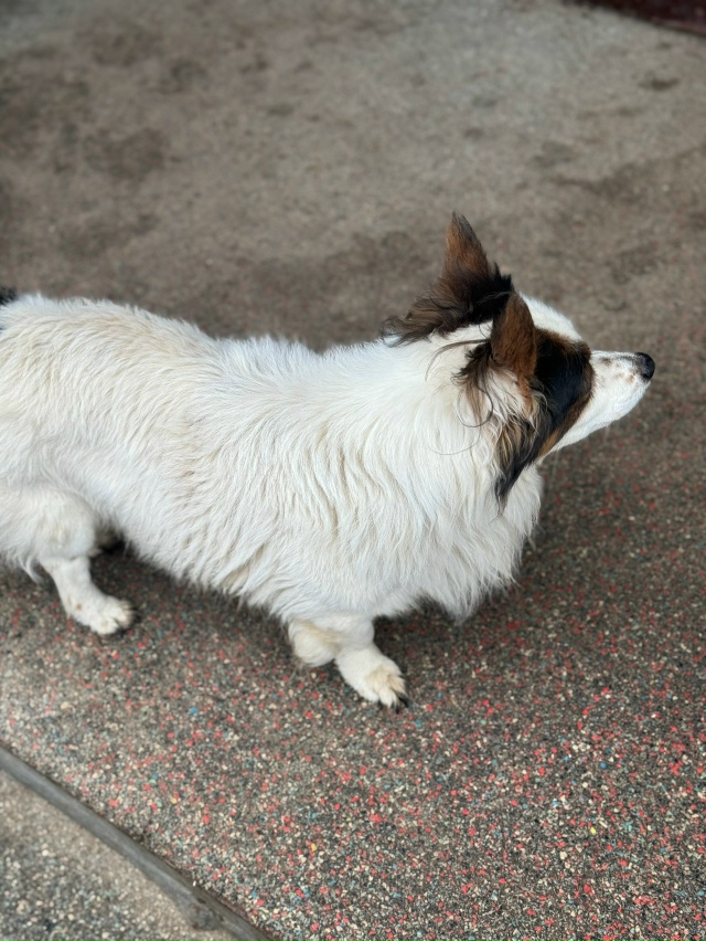 Анонимно.
Ленина 56. Уже третий день возле подъезда сид?...