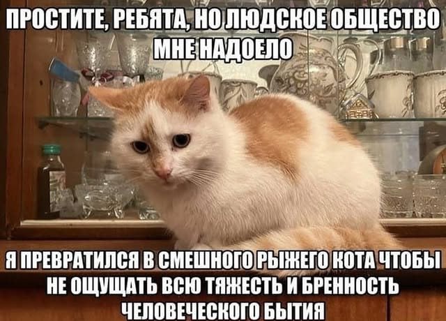 Утренняя подборочка