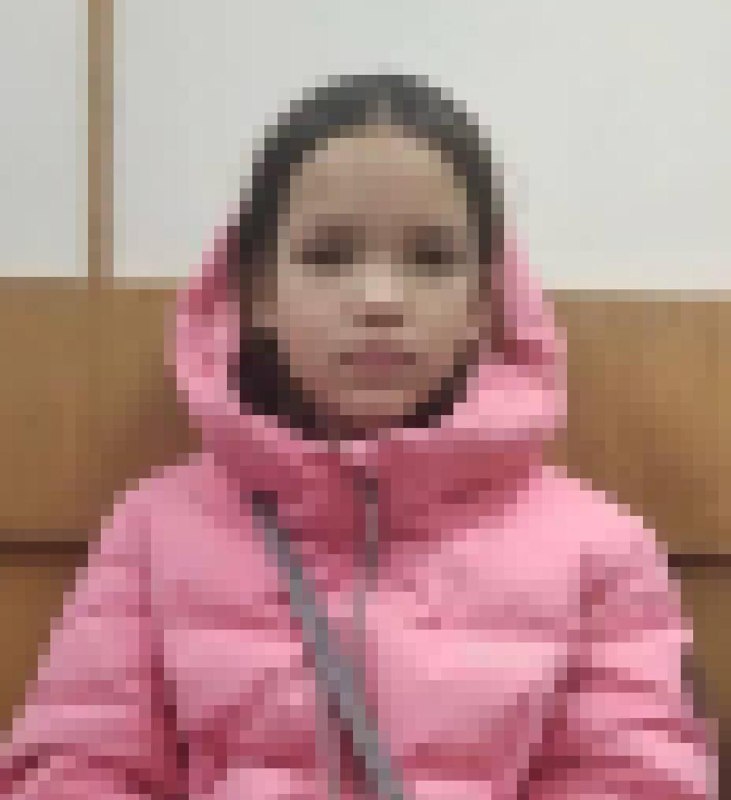 В Новосибирске 10-летнюю девочку пять часов удерживали в магазине за кражу конфеты, пока её искали в