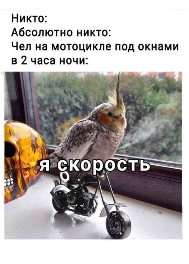 Скоро их всех поставят в гараж наконец-то😁