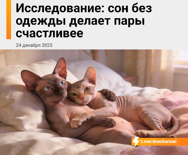 Сон без одежды делает пары счастливее, показало исследование
По данным опросов, среди тех, кто спит