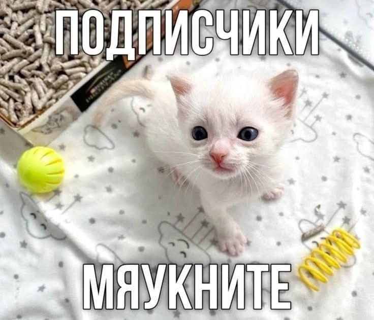 Утренняя подборочка