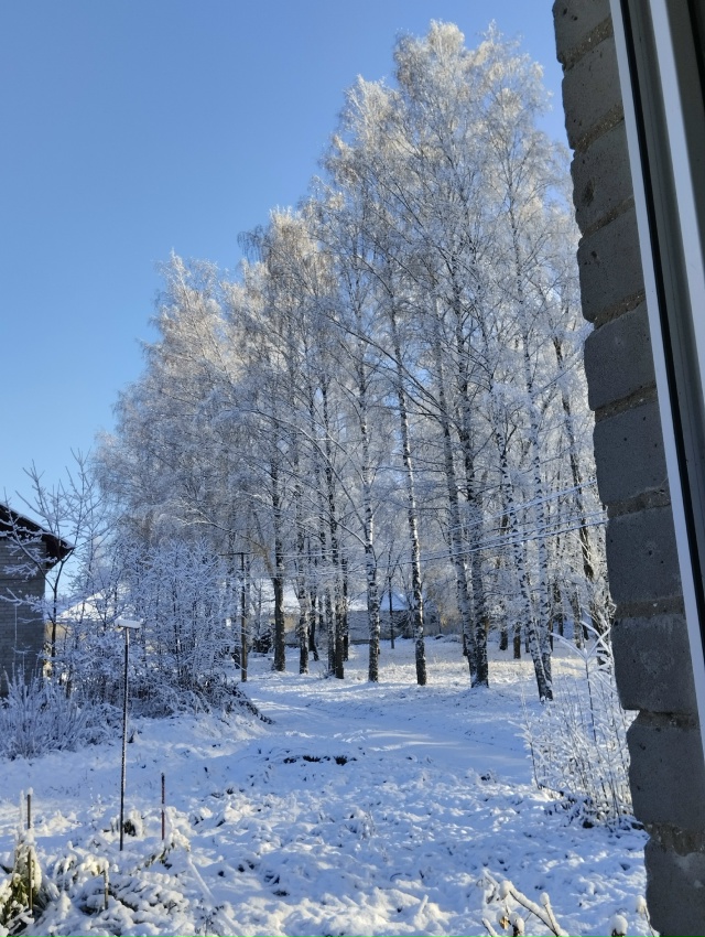 В прошлом году 4 ноября.