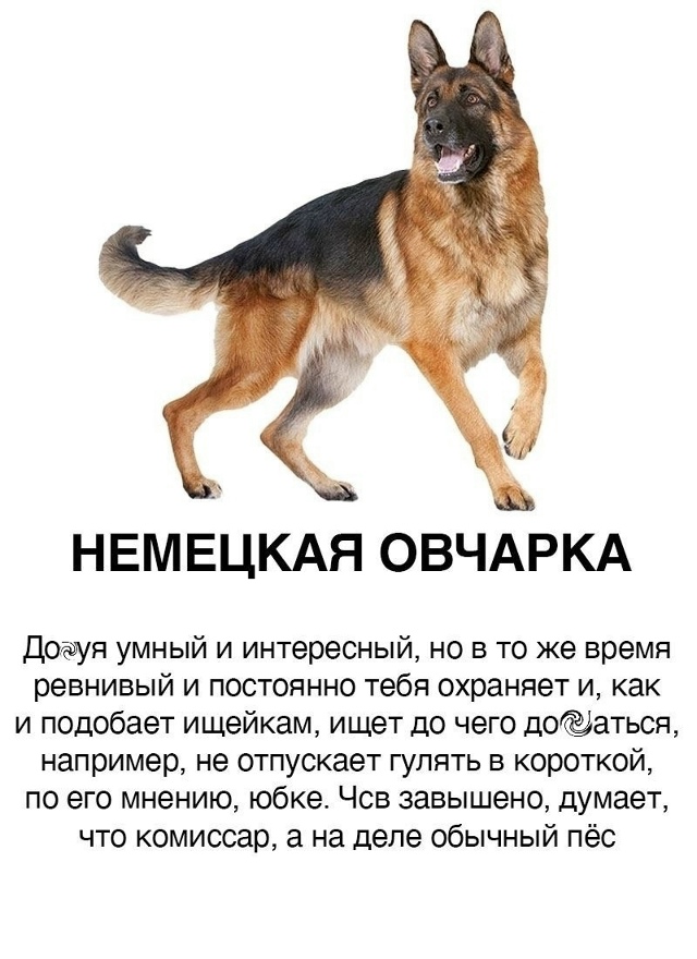 Пересылайте посты друзьям, ставьте реакции - это лучша?...