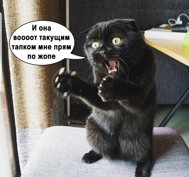 Бедняжка😨