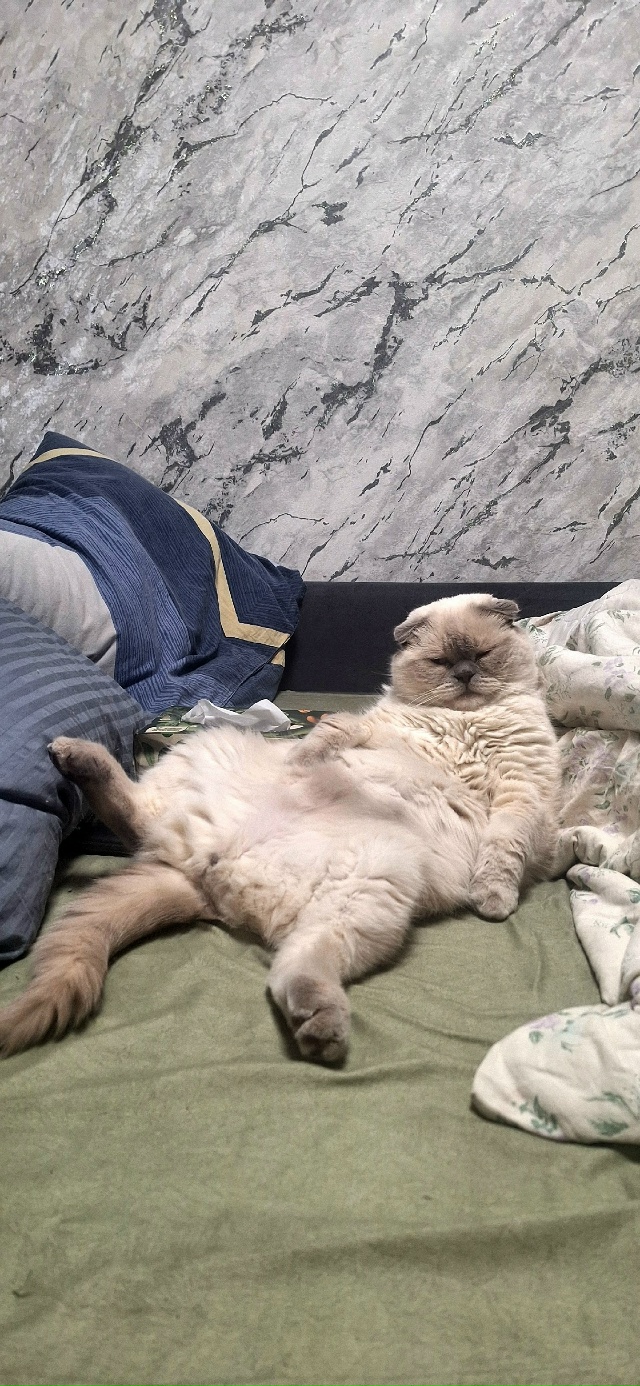 Барин отдыхать изволит!