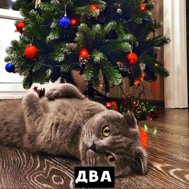 Скоро во всех квартирах страны ? ? ?