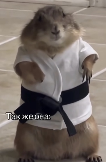 Открыл огонь по своим