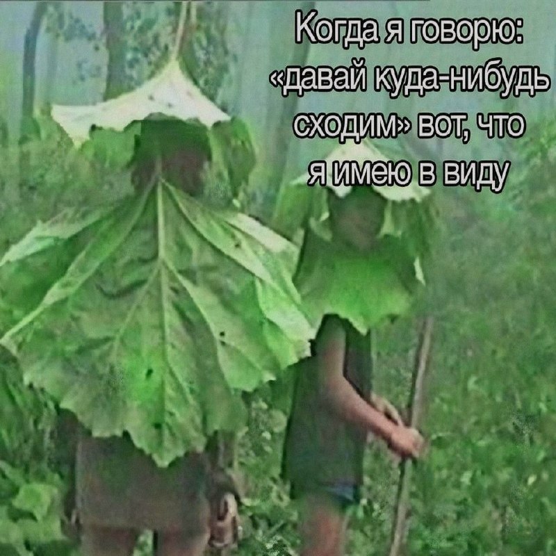 Ночная подборочка
Спать, режим