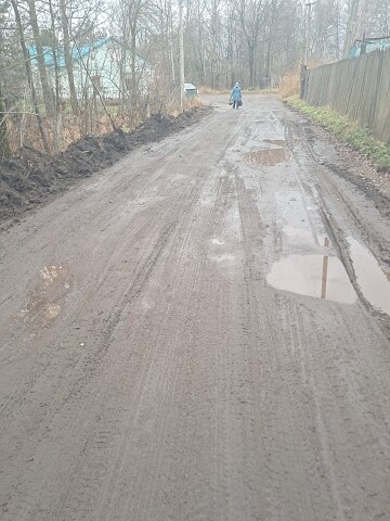 Дорога ,которая ведёт к ветеринарной станции . По этой ?...