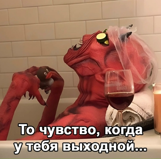 Вот живем как-то так