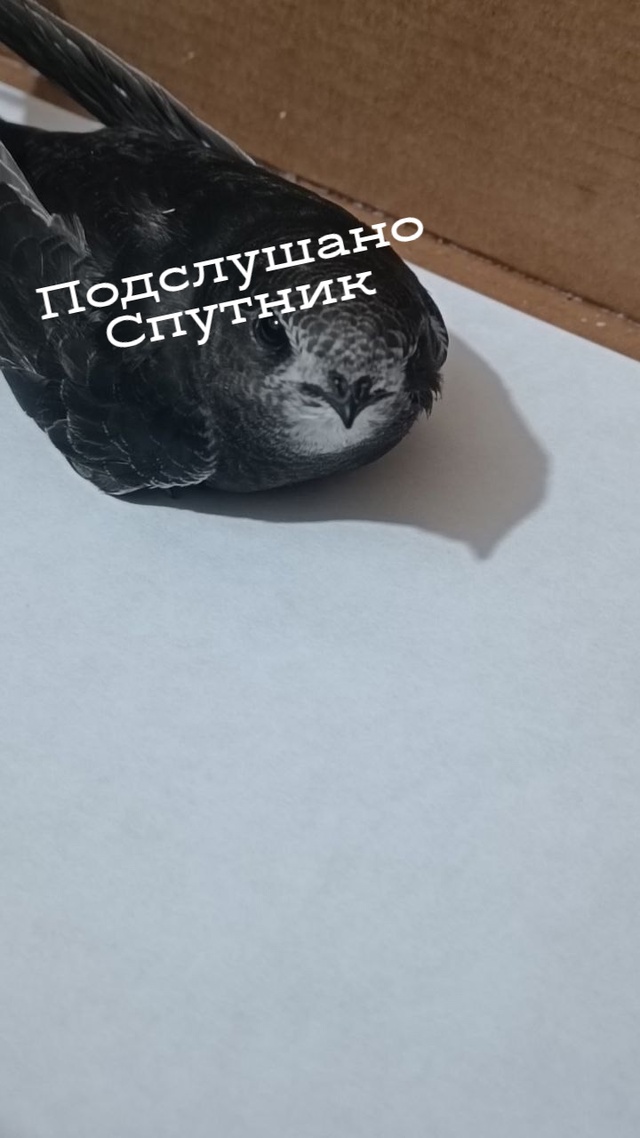 Здравствуйте! Хочу поделиться радостью- две недели наз...