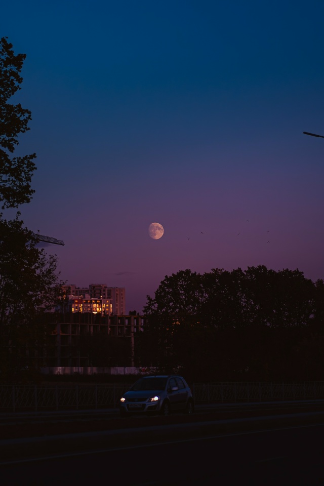 🌆Вечерний Воронеж прямо сейчас