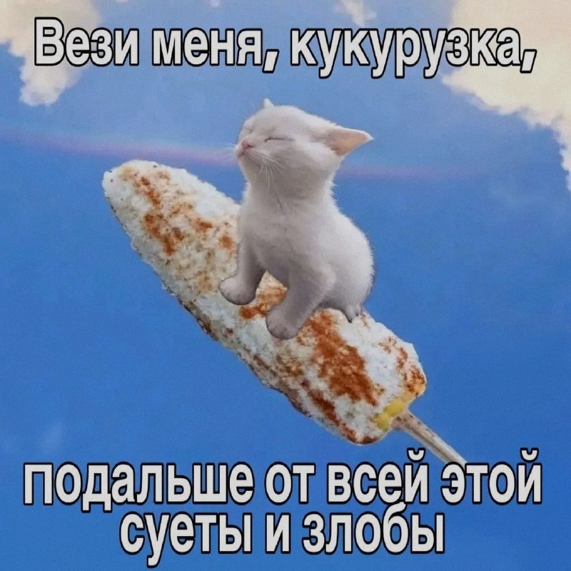 Ночная подборочка
Спать, режим
