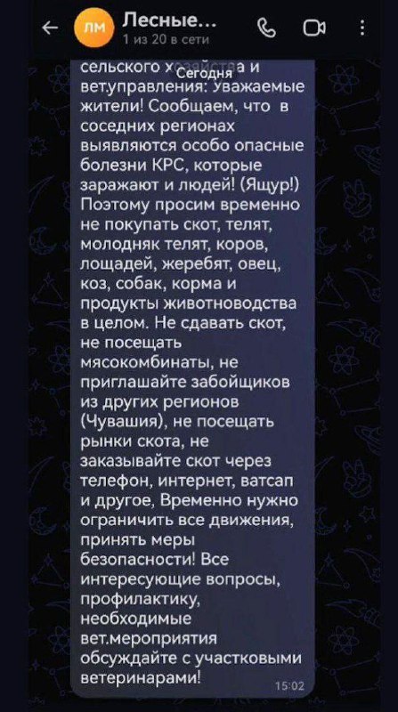 В российских регионах начали вводить ограничения на покупку мяса и скота из-за вспышек инфекций. В