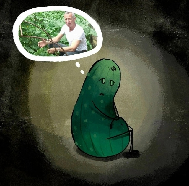 Тяжелая у них судьба, но за то они очень вкусные