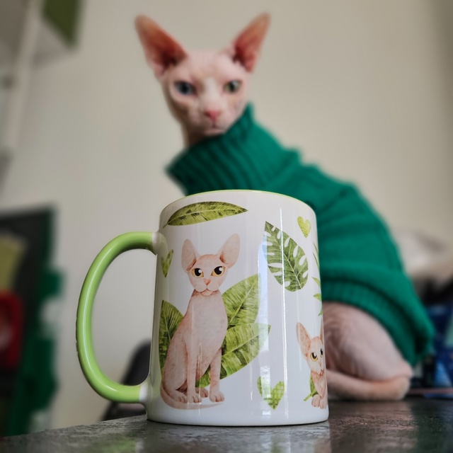 Нейтан удивлен, что он на кружке.