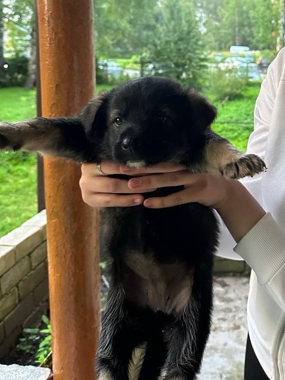 💔 Как можно подкинуть таких крошек??? 💔
Псков и Пско?...